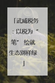武威税务：以税为“笔” 绘就生态别样绿