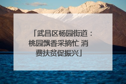 武昌区杨园街道：桃园飘香采摘忙 消费扶贫促振兴