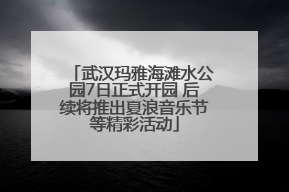 武汉玛雅海滩水公园7日正式开园 后续将推出夏浪音乐节等精彩活动