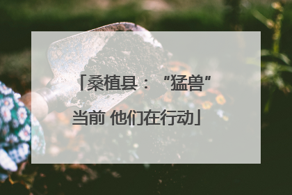 桑植县：“猛兽”当前 他们在行动