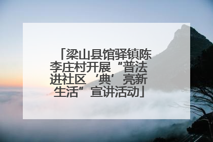 梁山县馆驿镇陈李庄村开展“普法进社区‘典’亮新生活”宣讲活动