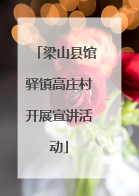 梁山县馆驿镇高庄村开展宣讲活动