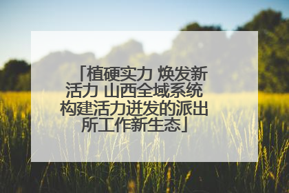 植硬实力 焕发新活力 山西全域系统构建活力迸发的派出所工作新生态