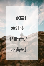 欧盟有意让步 特朗普仍不满意