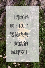 潍坊临朐：以“绣花功夫”赋能镇域蝶变