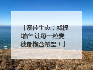 澳佳生态：减损增产 让每一粒麦穗都饱含希望！