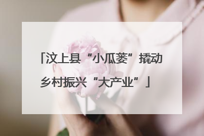汶上县“小瓜蒌”撬动乡村振兴“大产业”