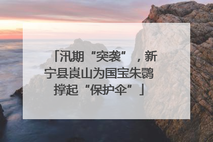 汛期“突袭”，新宁县崀山为国宝朱鹮撑起“保护伞”