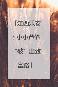 江西乐安：小小芦笋“破”出致富路