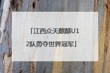 江西众天麒麟U12队勇夺世界冠军