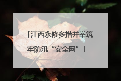 江西永修多措并举筑牢防汛“安全网”