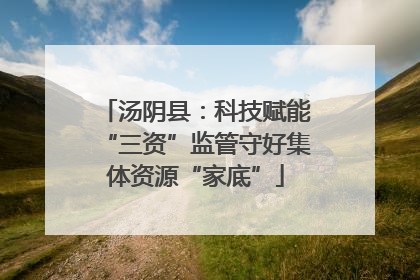汤阴县：科技赋能“三资”监管守好集体资源“家底”