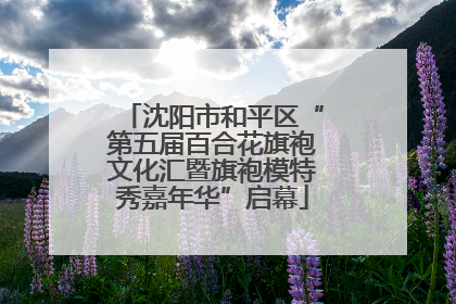 沈阳市和平区“第五届百合花旗袍文化汇暨旗袍模特秀嘉年华”启幕