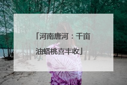 河南唐河：千亩油蟠桃喜丰收
