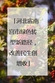 河北省南宫市绿色转型新路径，改善民生创增收