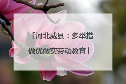河北威县：多举措做优做实劳动教育