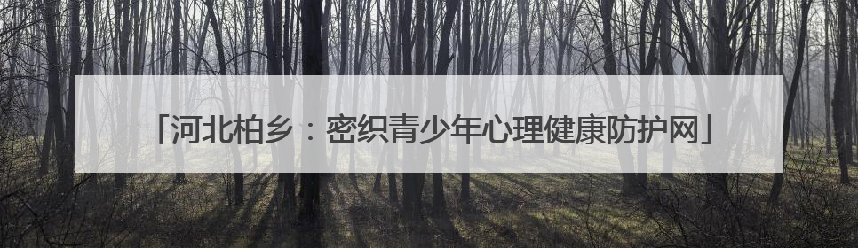 河北柏乡：密织青少年心理健康防护网