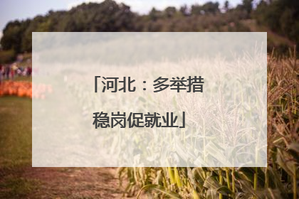 河北：多举措稳岗促就业