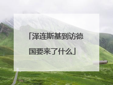 泽连斯基到访德国要来了什么