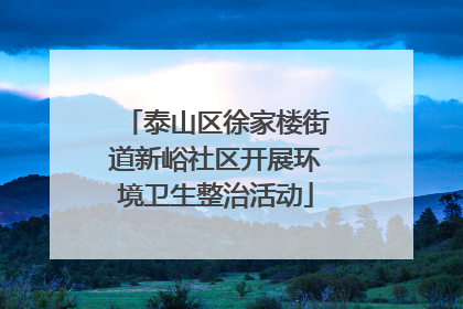 泰山区徐家楼街道新峪社区开展环境卫生整治活动