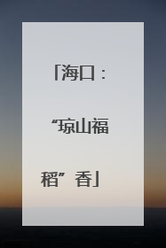 海口：“琼山福稻”香