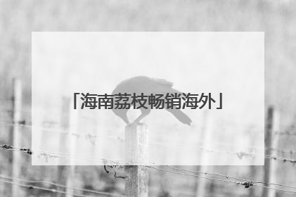 海南荔枝畅销海外