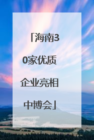 海南30家优质企业亮相中博会