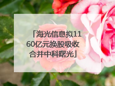 海光信息拟1160亿元换股吸收合并中科曙光