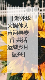 海外华文媒体人黄河寻麦香 共话运城乡村振兴