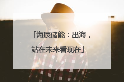 海辰储能：出海，站在未来看现在