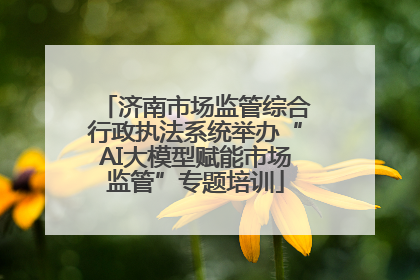 济南市场监管综合行政执法系统举办“AI大模型赋能市场监管”专题培训