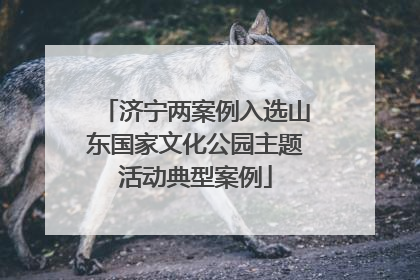 济宁两案例入选山东国家文化公园主题活动典型案例