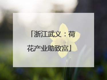 浙江武义：荷花产业助致富