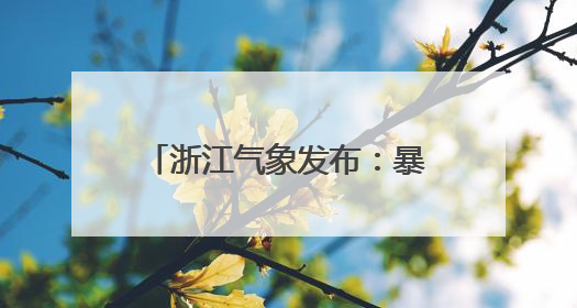 浙江气象发布：暴雨！雷暴大风！台风“蝴蝶”残云抵达