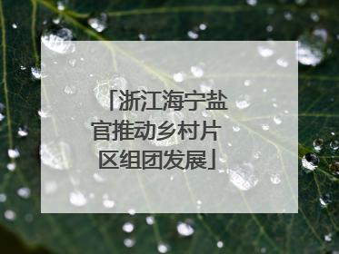 浙江海宁盐官推动乡村片区组团发展