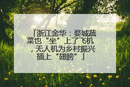 浙江金华：婺城蔬菜也“坐”上了飞机，无人机为乡村振兴插上“翅膀”