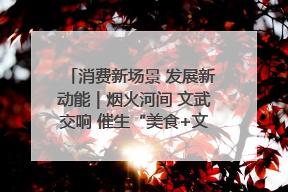消费新场景 发展新动能｜烟火河间 文武交响 催生“美食+文化”消费新场景