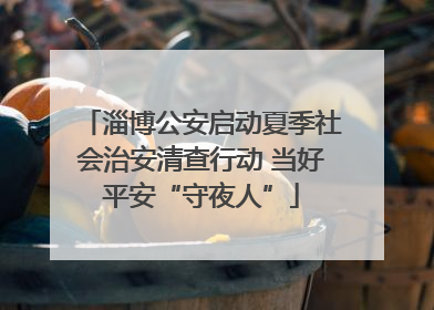 淄博公安启动夏季社会治安清查行动 当好平安“守夜人”