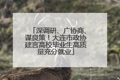 深调研、广协商、谋良策！大连市政协建言高校毕业生高质量充分就业