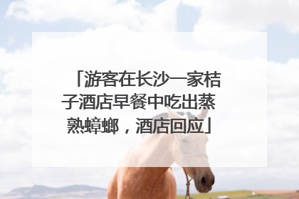 游客在长沙一家桔子酒店早餐中吃出蒸熟蟑螂，酒店回应