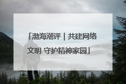 渤海潮评｜共建网络文明 守护精神家园