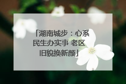 湖南城步：心系民生办实事 老区旧貌换新颜