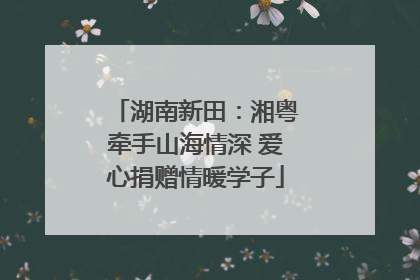 湖南新田：湘粤牵手山海情深 爱心捐赠情暖学子