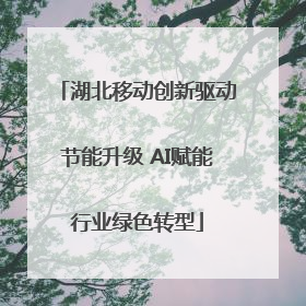 湖北移动创新驱动节能升级 AI赋能行业绿色转型