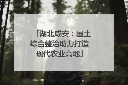 湖北咸安：国土综合整治助力打造现代农业高地