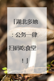 湖北多地：公务一律扫码吃食堂！