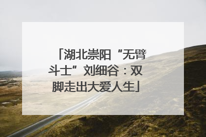 湖北崇阳“无臂斗士”刘细谷：双脚走出大爱人生