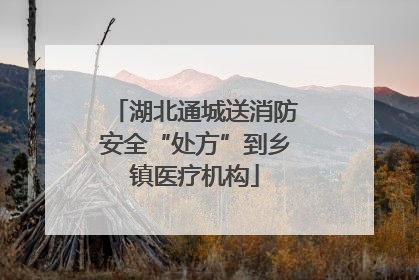 湖北通城送消防安全“处方”到乡镇医疗机构