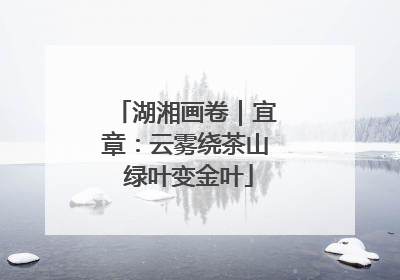 湖湘画卷｜宜章：云雾绕茶山 绿叶变金叶
