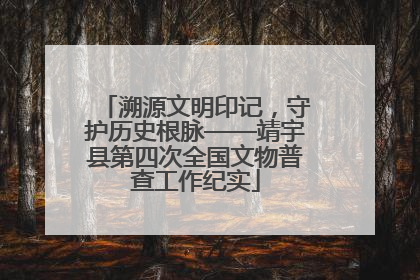 溯源文明印记，守护历史根脉——靖宇县第四次全国文物普查工作纪实